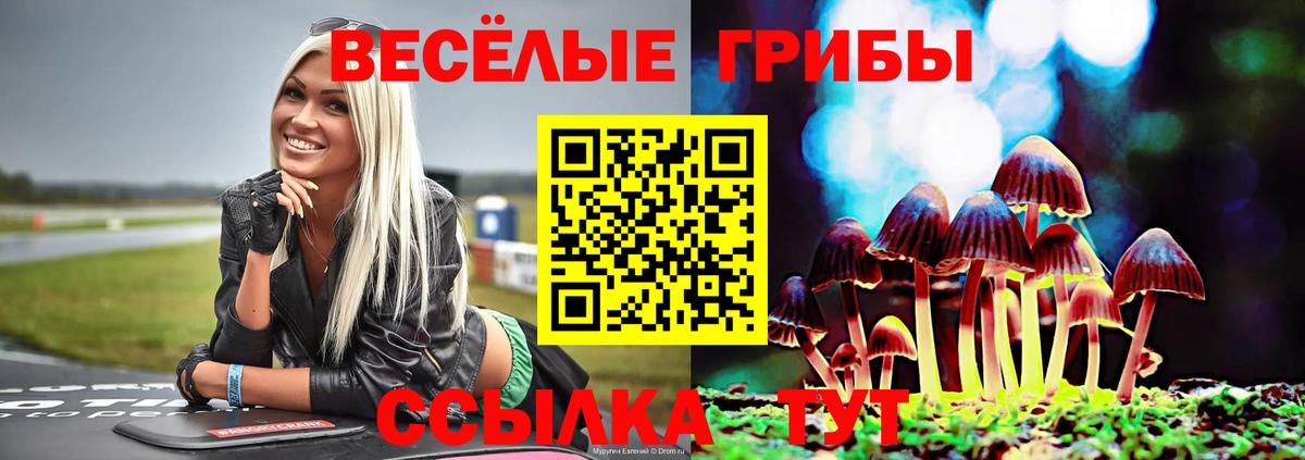 Россошь  цены   Вход с VPN  Галлюциногенные грибы Psilocybine cubensis 