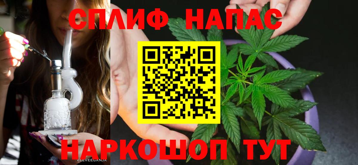 Бошки Шишки марихуана Россошь